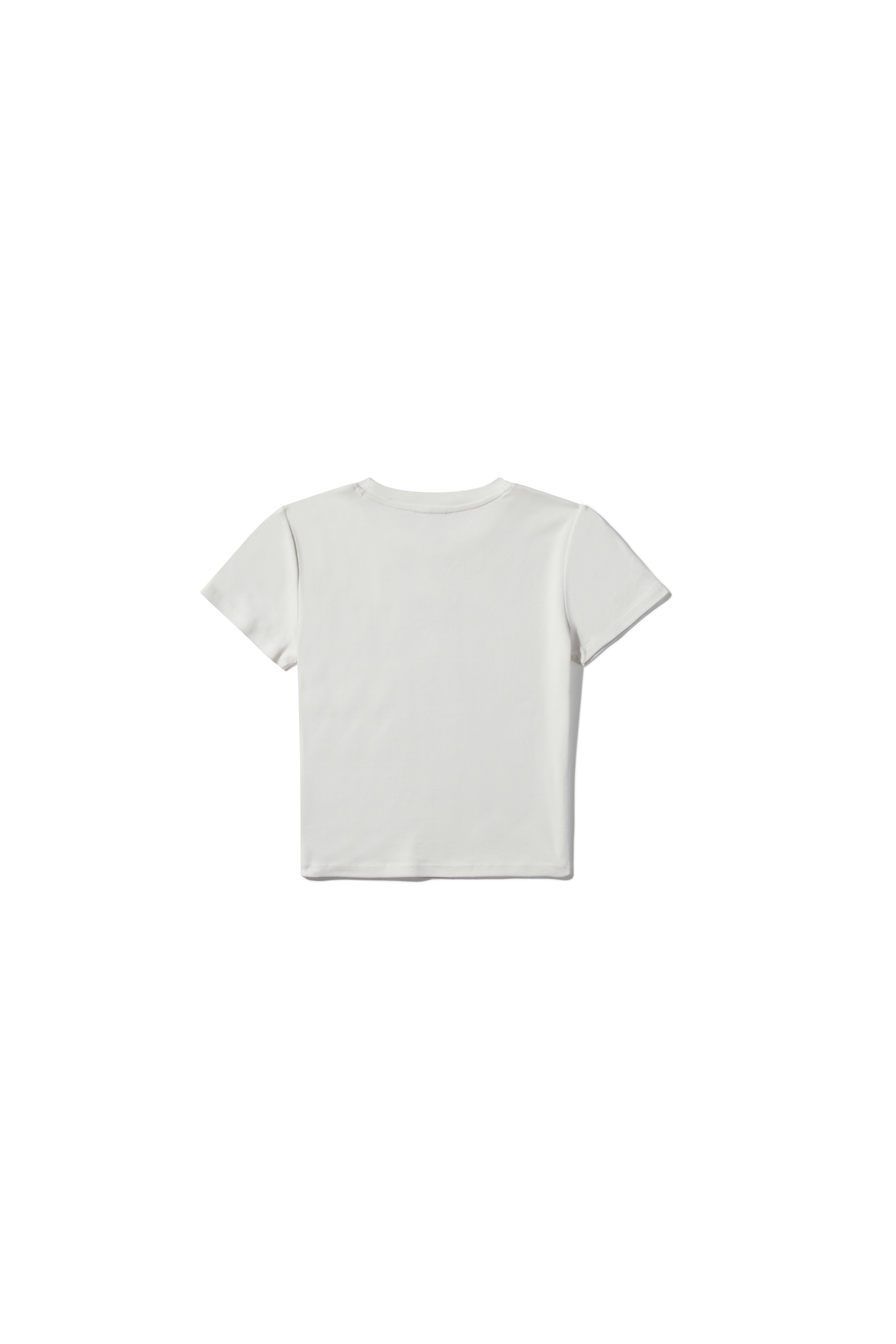 Baby Tee (2024)