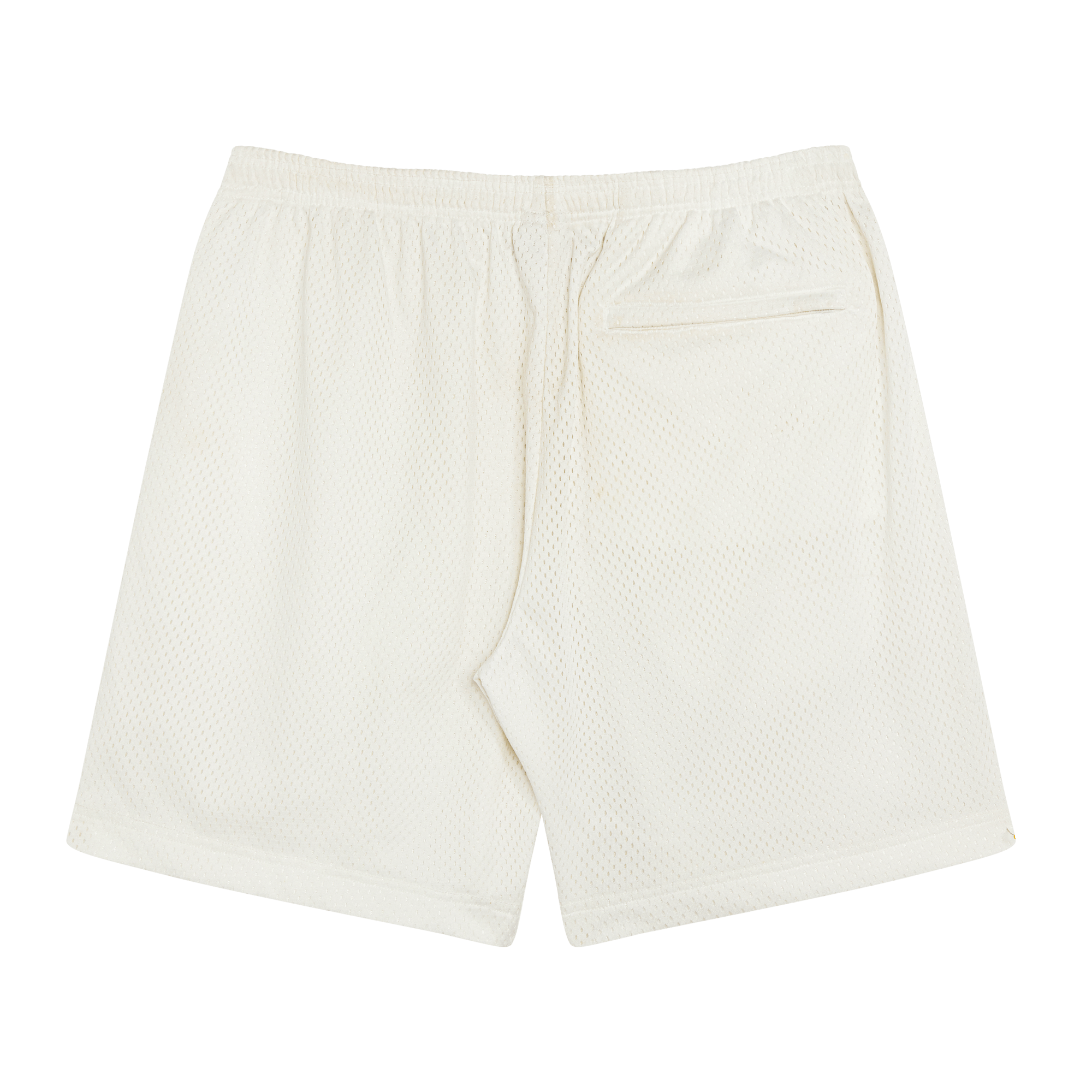 Practice Mesh Shorts