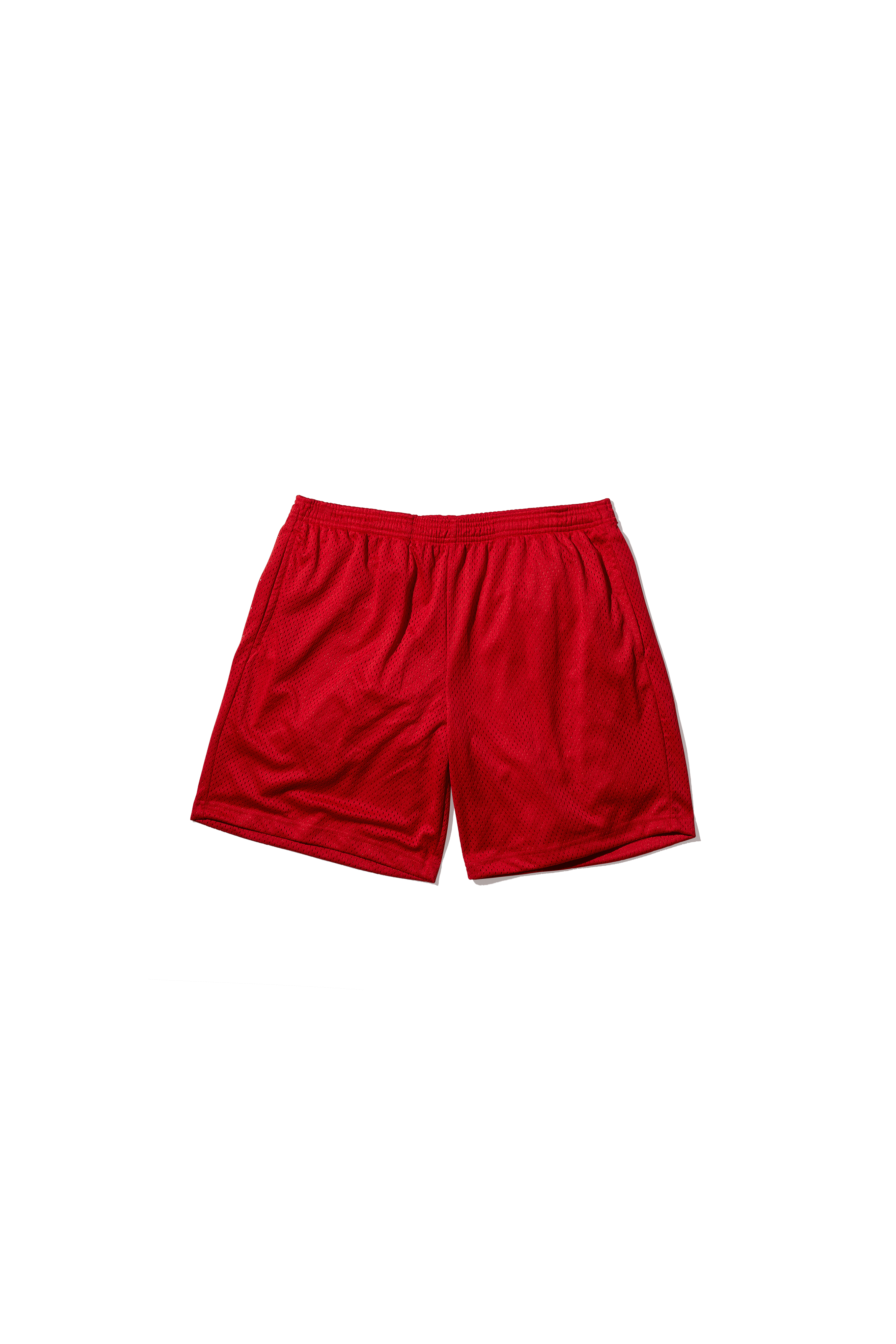 Practice Mesh Shorts