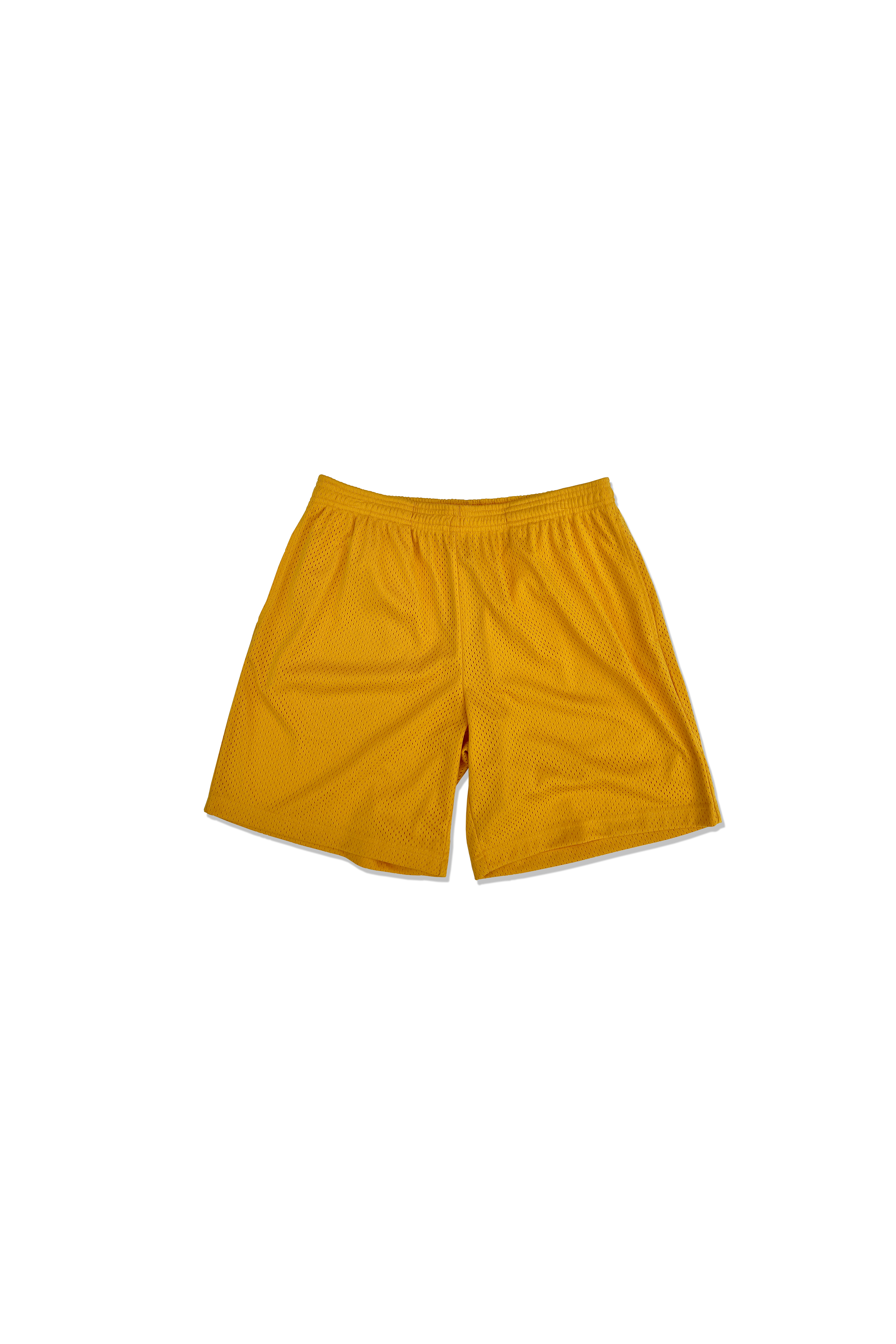 Practice Mesh Shorts
