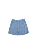 Practice Mesh Shorts