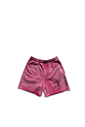 Recess Terry Sweatshorts - Sunfaded Colorways